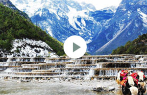 2017��AG8���ſƼ��Ž�-����֮��