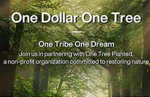 ���ǣ���ע���α��������е�̼����