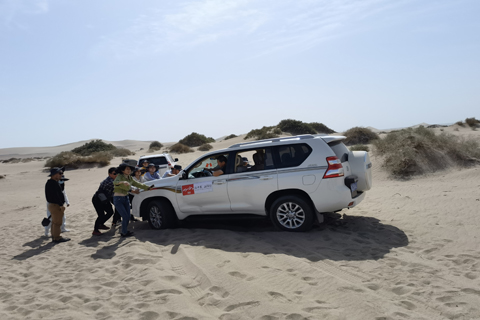 AG8����_AG8���޼��š�(�й���)�ٷ���վ