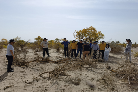 AG8����_AG8���޼��š�(�й���)�ٷ���վ