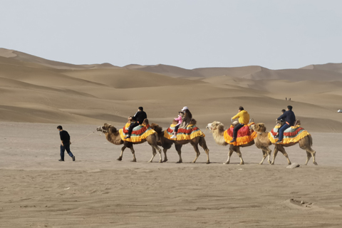 AG8����_AG8���޼��š�(�й���)�ٷ���վ