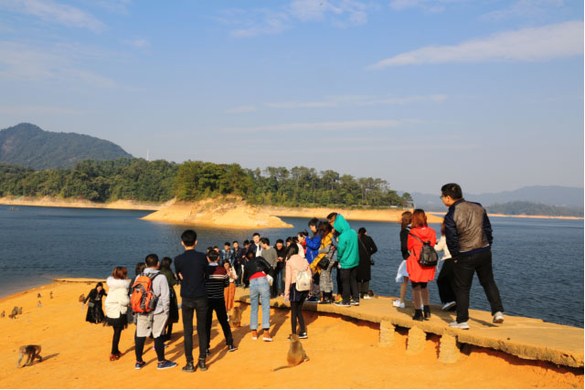 AG8����_AG8���޼��š�(�й���)�ٷ���վ