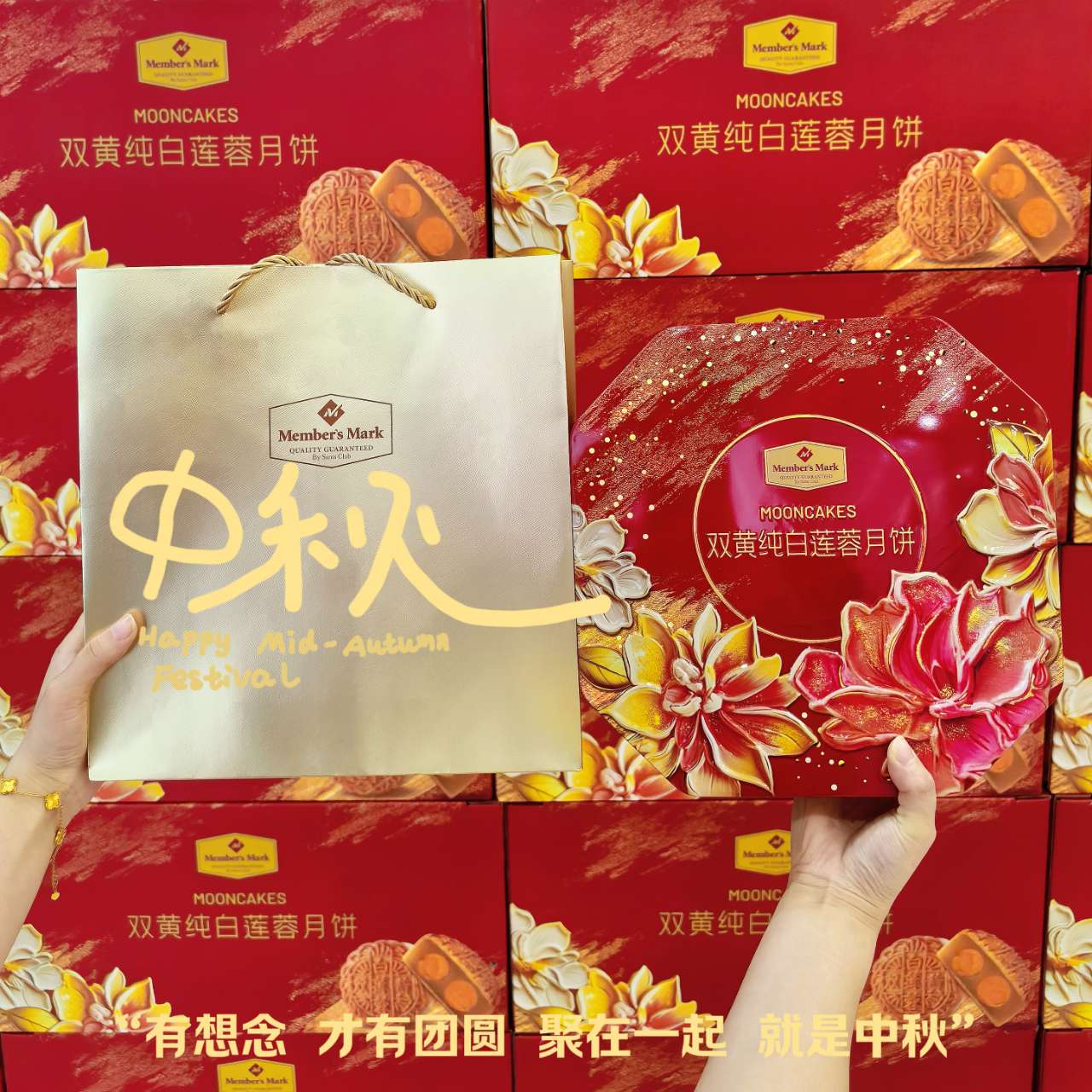 AG8����_AG8���޼��š�(�й���)�ٷ���վ